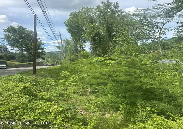 Photo 2 of Land for sale at 519 Cherokee Orchard Rd, Gatlinburg, TN 37738 | MLS# 1339267 | Listing updated on 2026-05-02