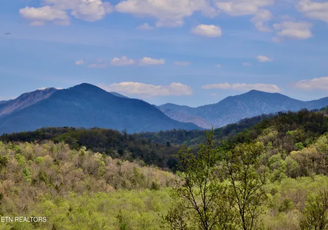 2nd image of 224 Woodland Rd #UNIT 103, Gatlinburg, TN 37738 | MLS# 1339955