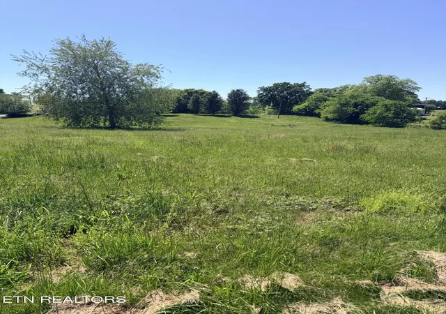 Homes for sale in Bulls Gap, TN | 2058 Walter Dr #LOT 2, Bulls Gap, TN 37711 | MLS# 1347025