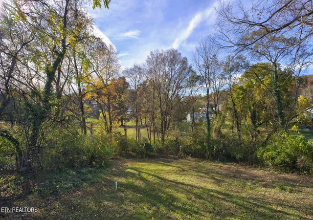 3rd image of 135 Blazer St, Newport, TN 37821 | MLS# 1339328