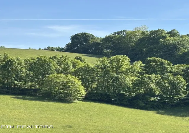 4th image of Flagstone Loop, New Tazewell, TN 37825 | MLS# 1339378