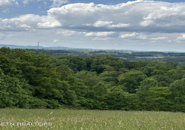 3rd image of Flagstone Loop, New Tazewell, TN 37825 | MLS# 1339378
