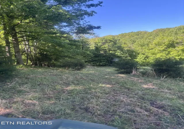 14th image of 407 Earl Maples Ln, Tazewell, TN 37879 | MLS# 1339332