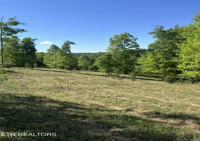 Photo 3 of Land for sale at 407 Earl Maples Ln, Tazewell, TN 37879 | MLS# 1339332 | Listing updated on 2026-09-16