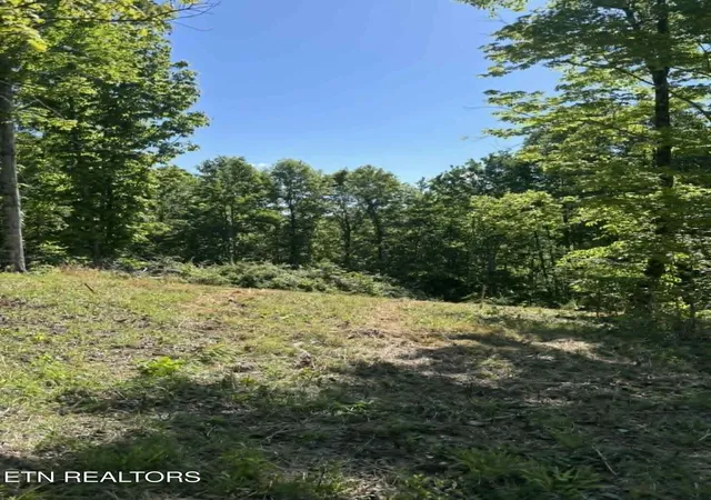 Photo 4 of Land for sale at 407 Earl Maples Ln, Tazewell, TN 37879 | MLS# 1339332 | Listing updated on 2026-09-16
