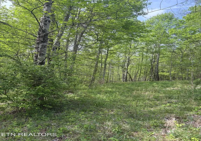 Photo 1 of Land for sale at 157 Casteel Rd, Sparta, TN 38583 | MLS# 1339470 | Listing updated on 2026-09-15