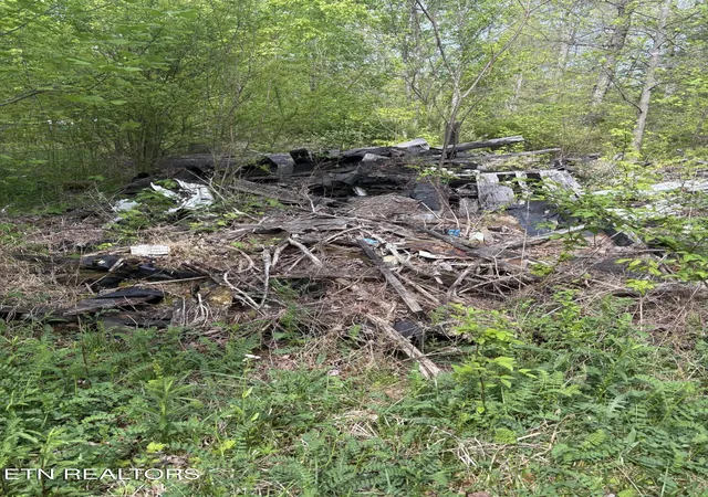 Photo 2 of Land for sale at 157 Casteel Rd, Sparta, TN 38583 | MLS# 1339470 | Listing updated on 2026-09-15