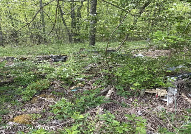 Photo 2 of Land for sale at 157 Casteel Rd, Sparta, TN 38583 | MLS# 1339470 | Listing updated on 2026-09-15