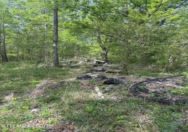 Photo 3 of Land for sale at 157 Casteel Rd, Sparta, TN 38583 | MLS# 1339470 | Listing updated on 2026-09-15