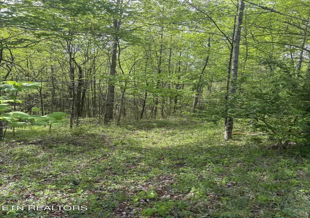Photo 4 of Land for sale at 157 Casteel Rd, Sparta, TN 38583 | MLS# 1339470 | Listing updated on 2026-09-15
