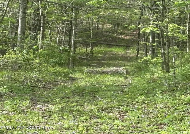 Photo 6 of Land for sale at 157 Casteel Rd, Sparta, TN 38583 | MLS# 1339470 | Listing updated on 2026-09-15