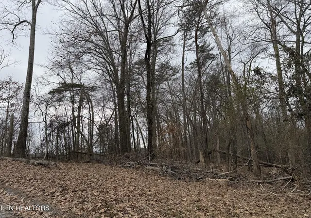 18th image of John Spears Wy, Sevierville, TN 37876 | MLS# 1339672