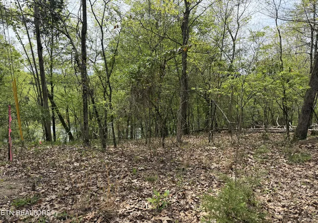 4th image of John Spears Wy, Sevierville, TN 37876 | MLS# 1339672