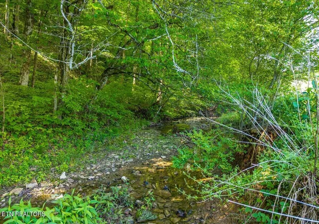 4th image of Shadden Road, Tellico Plains, TN 37385 | MLS# 1339515