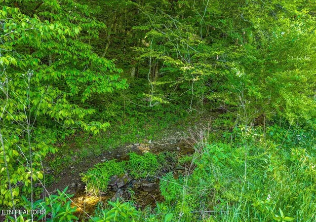 5th image of Shadden Road, Tellico Plains, TN 37385 | MLS# 1339515