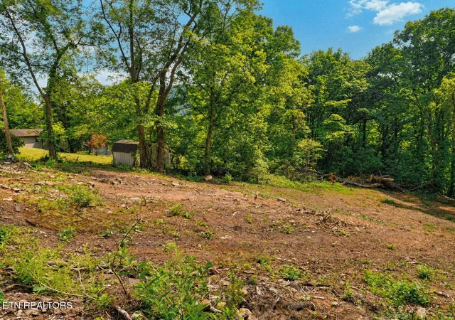 Photo 3 of Land for sale at 147 Stephens Rd, Rocky Top, TN 37769 | MLS# 1339549 | Listing updated on 2026-09-30
