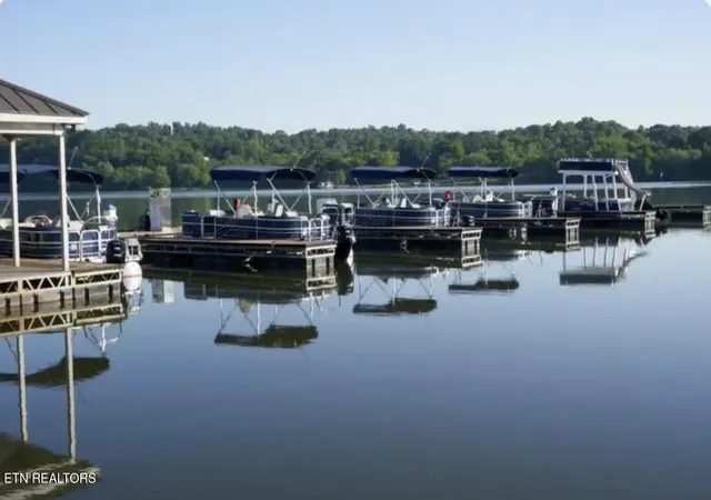 60th image of 178 Purple Iris Pl, Loudon, TN 37774 | MLS# 1339613