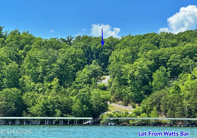 1st image of 450 Hidden Forest Tr, Spring City, TN 37381 | MLS# 1339806