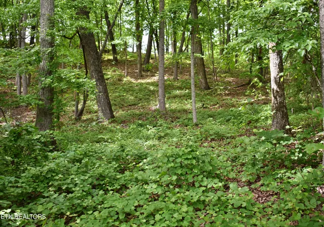 Photo 4 of Land for sale at 450 Hidden Forest Tr, Spring City, TN 37381 | MLS# 1339806 | Listing updated on 2026-05-21