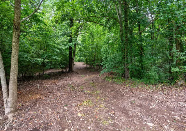 Homes for sale in Cosby, TN | 910 English Mtn Rd, Cosby, TN 37722 | MLS# 1339609