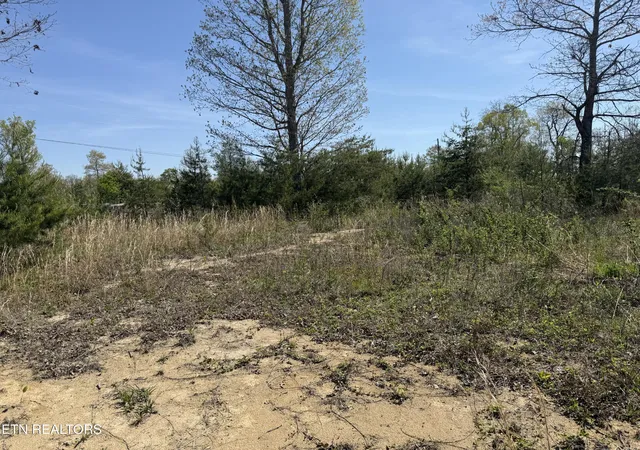 25th image of 0 Conley Rd, Crossville, TN 38571 | MLS# 1339699