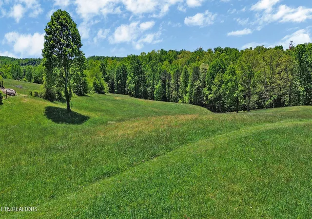 2nd image of Panther Branch Rd, Jamestown, TN 38556 | MLS# 1339805