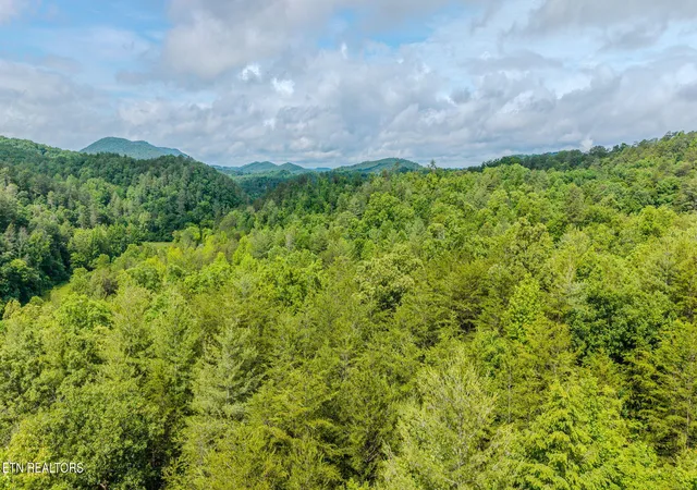 37th image of 611 Antioch Church Rd, Vonore, TN 37885 | MLS# 1342503