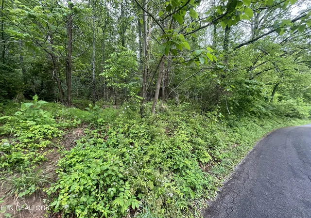 Homes for sale in Dryden, VA | Tbd Valley Creek Rd, Dryden, VA 24243 | MLS# 1339923