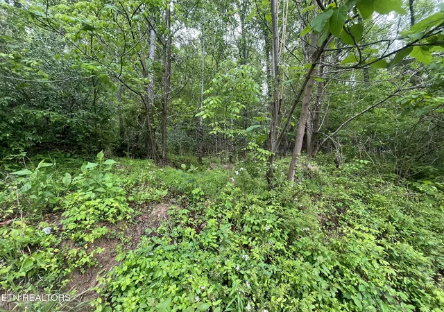 3rd image of Tbd Valley Creek Rd, Dryden, VA 24243 | MLS# 1339923