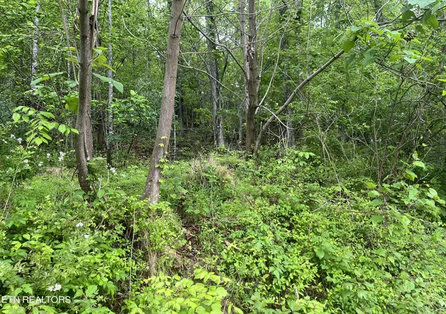4th image of Tbd Valley Creek Rd, Dryden, VA 24243 | MLS# 1339923