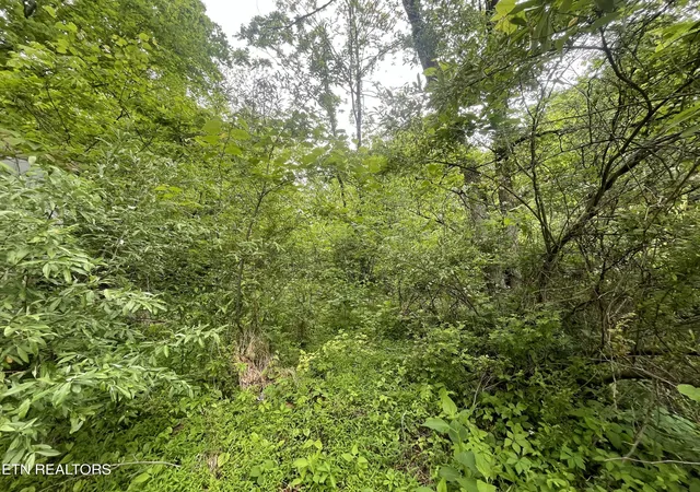 5th image of Tbd Valley Creek Rd, Dryden, VA 24243 | MLS# 1339923