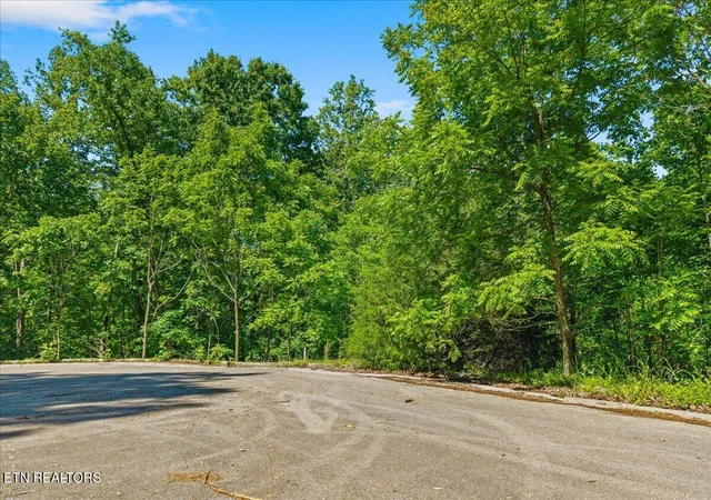 Homes for sale in Sweetwater, TN | 00 Elm Ln, Sweetwater, TN 37874 | MLS# 1340243