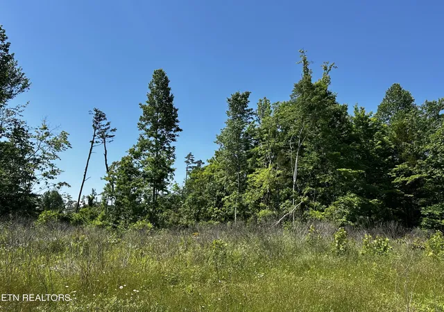 Photo 4 of Land for sale at 4061 New Hwy 68, Madisonville, TN 37354 | MLS# 1340652 | Listing updated on 2026-08-27