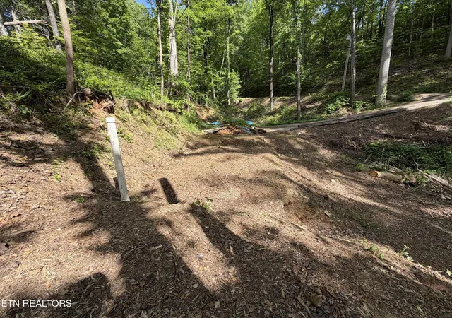 4th image of 807 Old New Ground Rd, Gatlinburg, TN 37738 | MLS# 1340103