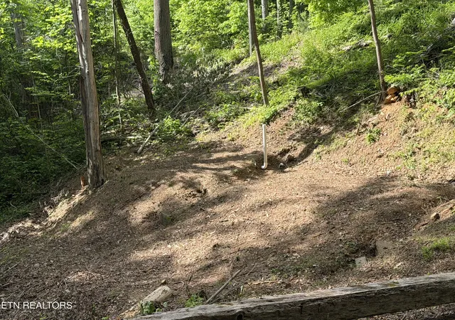 5th image of 807 Old New Ground Rd, Gatlinburg, TN 37738 | MLS# 1340103
