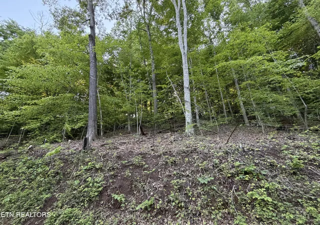 3rd image of Lots A&B Alder Springs Rd, La Follette, TN 37766 | MLS# 1340353