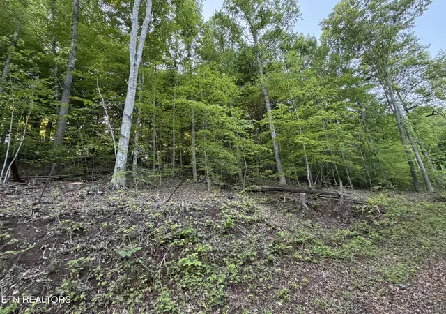 4th image of Lots A&B Alder Springs Rd, La Follette, TN 37766 | MLS# 1340353