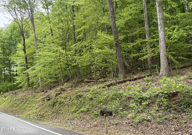 5th image of Lots A&B Alder Springs Rd, La Follette, TN 37766 | MLS# 1340353
