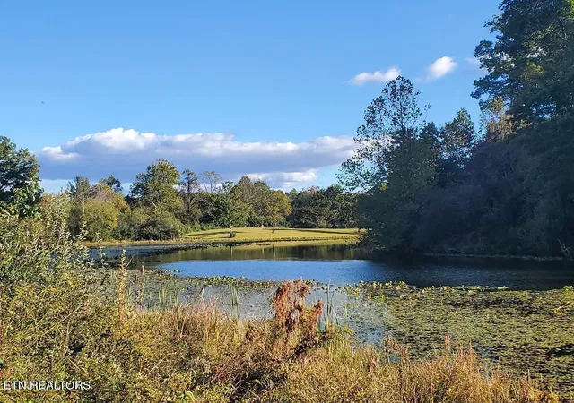 Photo 3 of Land for sale at 2036 Helenwood Detour Rd, Helenwood, TN 37755 | MLS# 1340095 | Listing updated on 2026-08-26