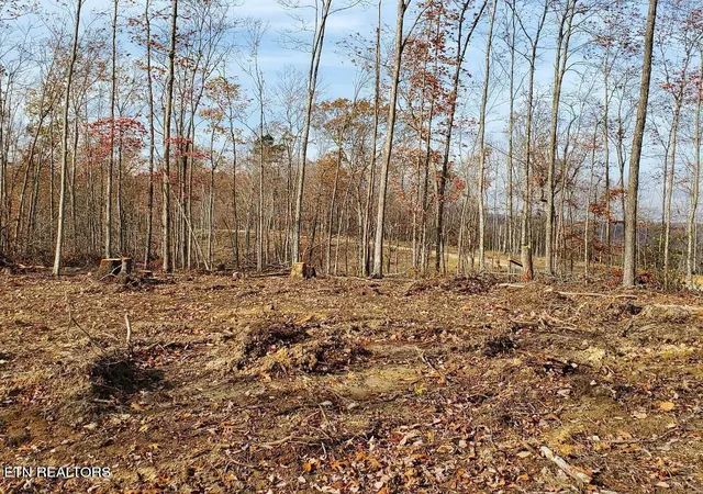 Photo 3 of Land for sale at Bull Crk Rd S/0, Huntsville, TN 37756 | MLS# 1340130 | Listing updated on 2026-05-08