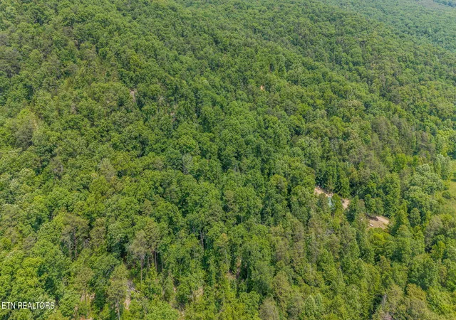Homes for sale in Rutledge, TN | Poor Valley Rd, Rutledge, TN 37861 | MLS# 1345345