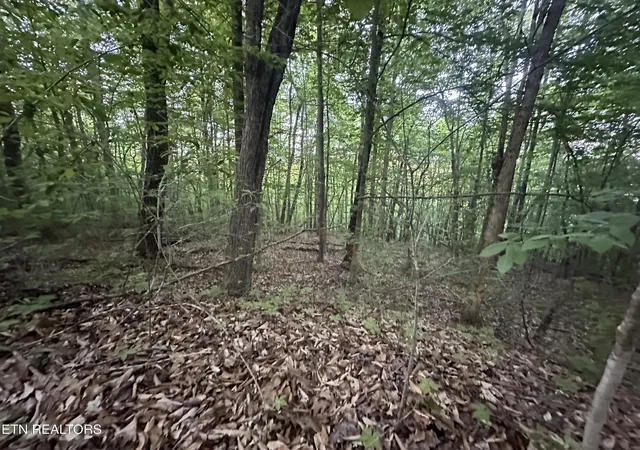 Photo 3 of Land for sale at Cassies Xing, Speedwell, TN 37870 | MLS# 1340203 | Listing updated on 2026-05-09