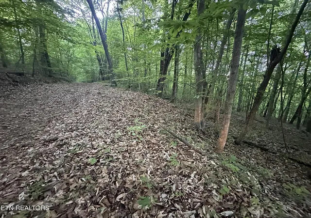 Photo 3 of Land for sale at Cassies Xing, Speedwell, TN 37870 | MLS# 1340203 | Listing updated on 2026-05-09