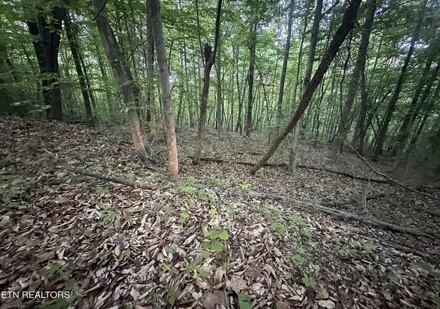 Photo 4 of Land for sale at Cassies Xing, Speedwell, TN 37870 | MLS# 1340203 | Listing updated on 2026-05-09
