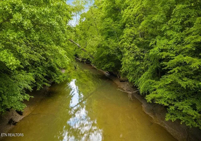 6th image of 341 Lovely Bluff Rd, Rocky Top, TN 37769 | MLS# 1340235