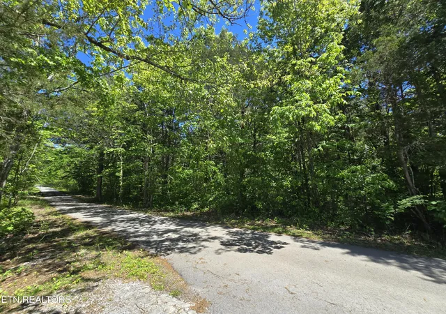 Homes for sale in Pennington Gap, VA | 0 Hershell Dr, Pennington Gap, VA 24277 | MLS# 1340247