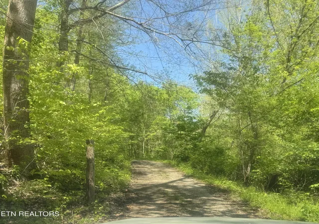 1st image of Anna, Clairfield, TN 37715 | MLS# 1340253