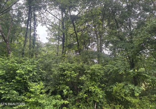 Photo 1 of Land for sale at Brogan Ln, Tazewell, TN 37879 | MLS# 1340347 | Listing updated on 2026-05-11