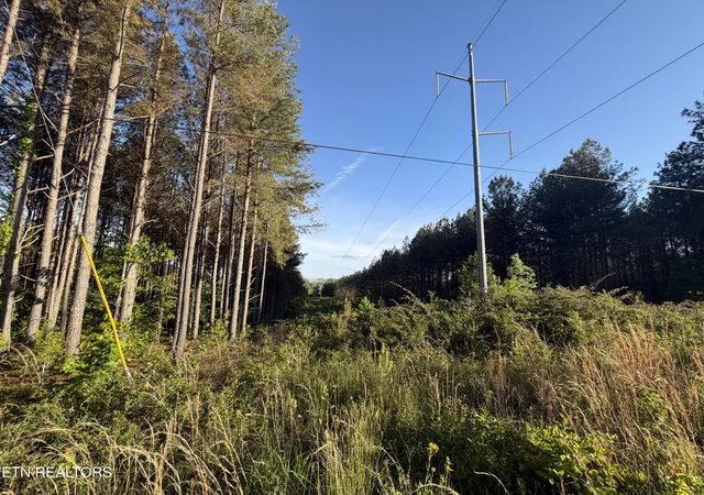 Photo 3 of Land for sale at Lot 68 Black Bear Ln, Sunbright, TN 37872 | MLS# 1340665 | Listing updated on 2026-06-12