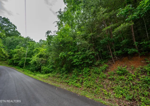 3rd image of 0 Aaron St, Sevierville, TN 37876 | MLS# 1340414